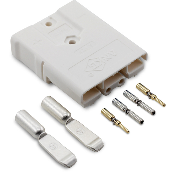 Anderson plugs